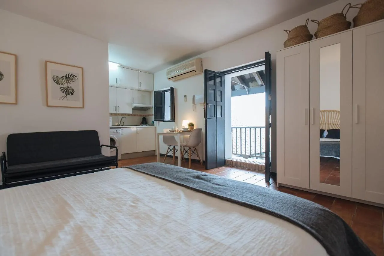 Corral Del Conde Apartment Seville 0*,
