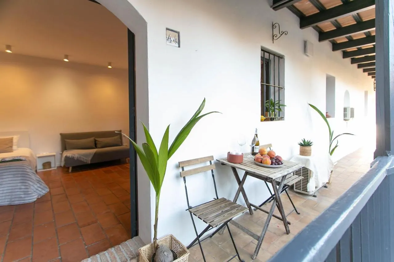 Corral Del Conde Apartment Seville