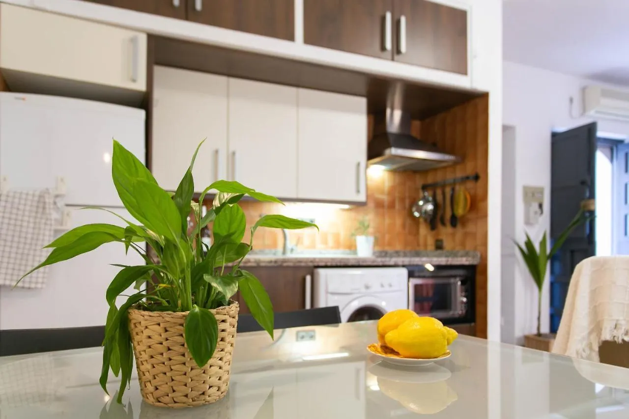 Corral Del Conde Apartment Seville 0*,