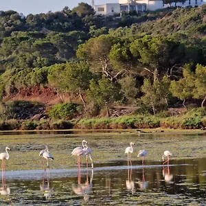 https://mongofre-agroturismo.balearic-islands.net