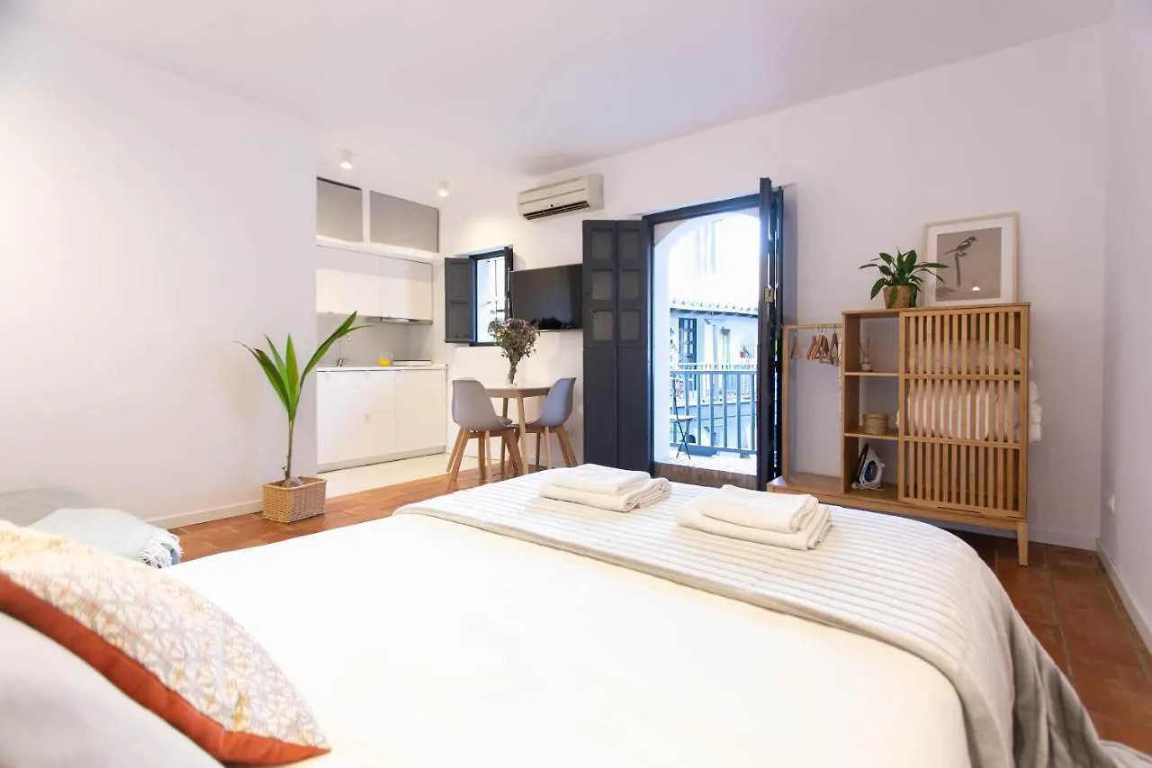 Corral Del Conde Apartment Seville