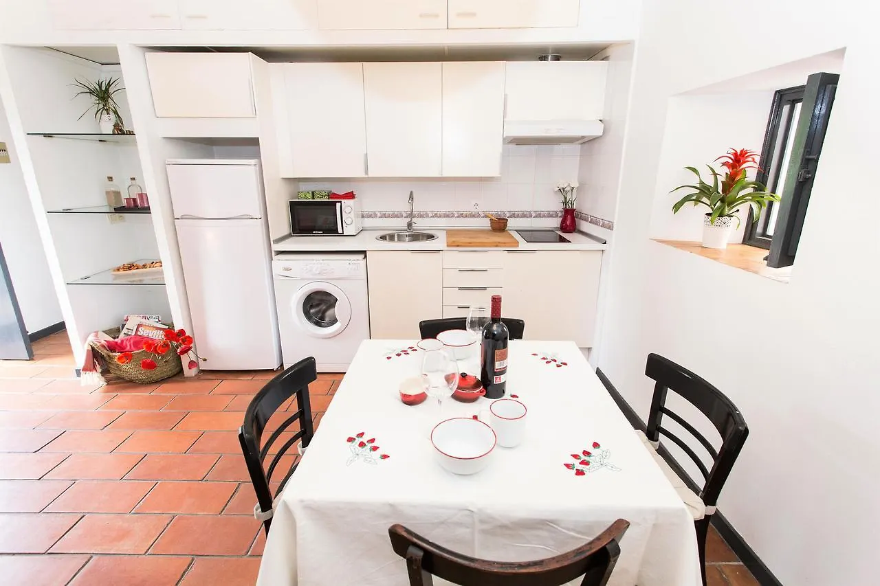 Corral Del Conde Apartment Seville