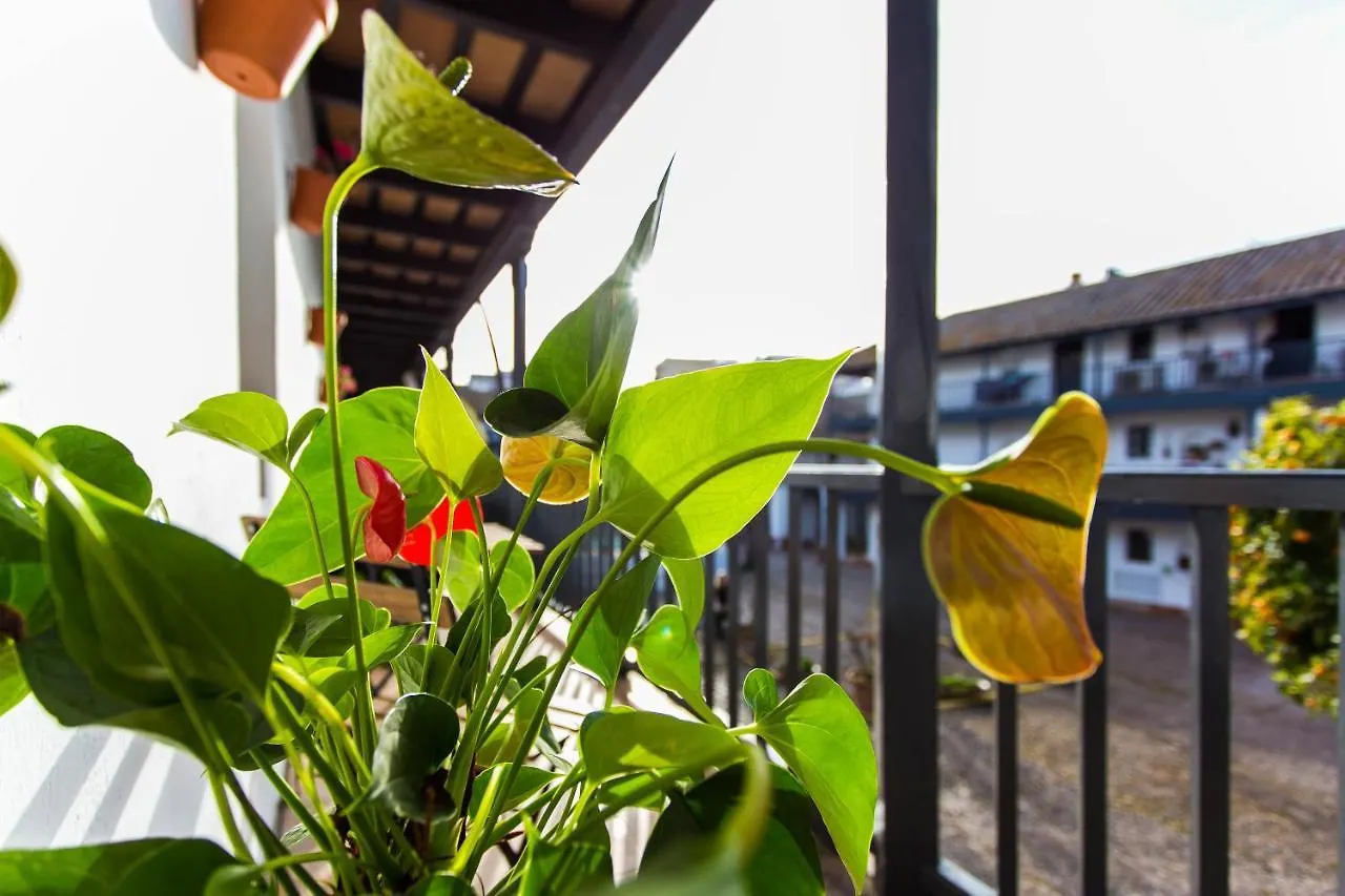 Corral Del Conde Apartment Seville