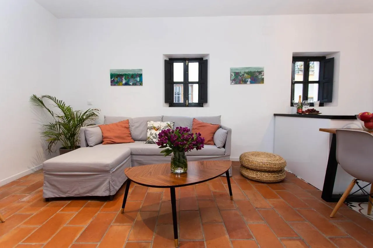 Corral Del Conde Apartment Seville